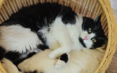MorgenINNPULS – Schon gewusst?