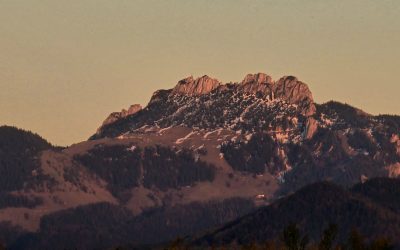 MorgenINNPULS – Schon gewusst?