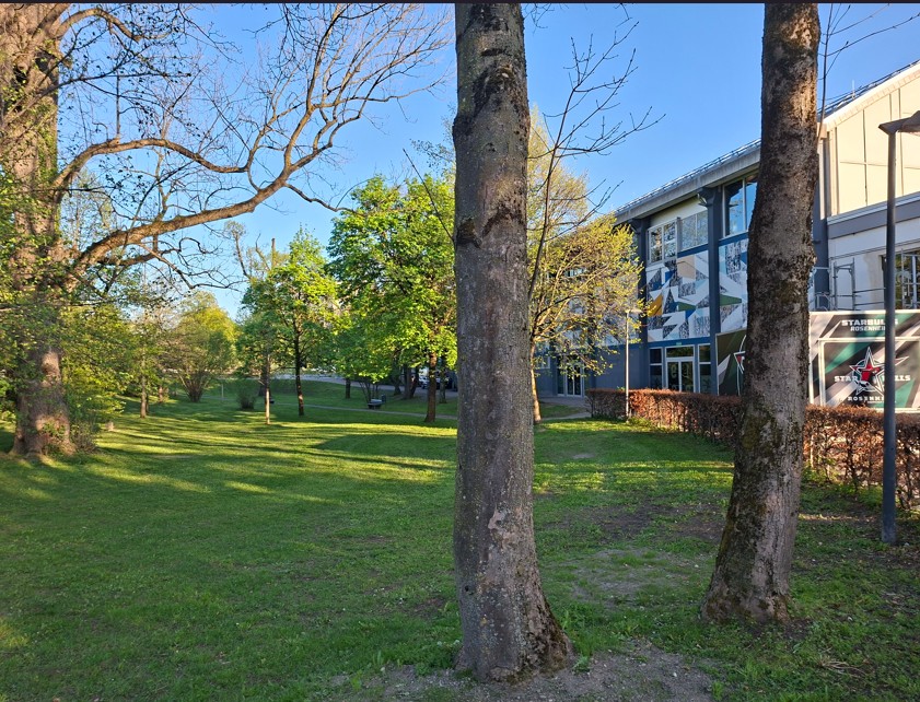 Grünfläche am Eisstadion: Soll sie für zweite Eisfläche weichen?