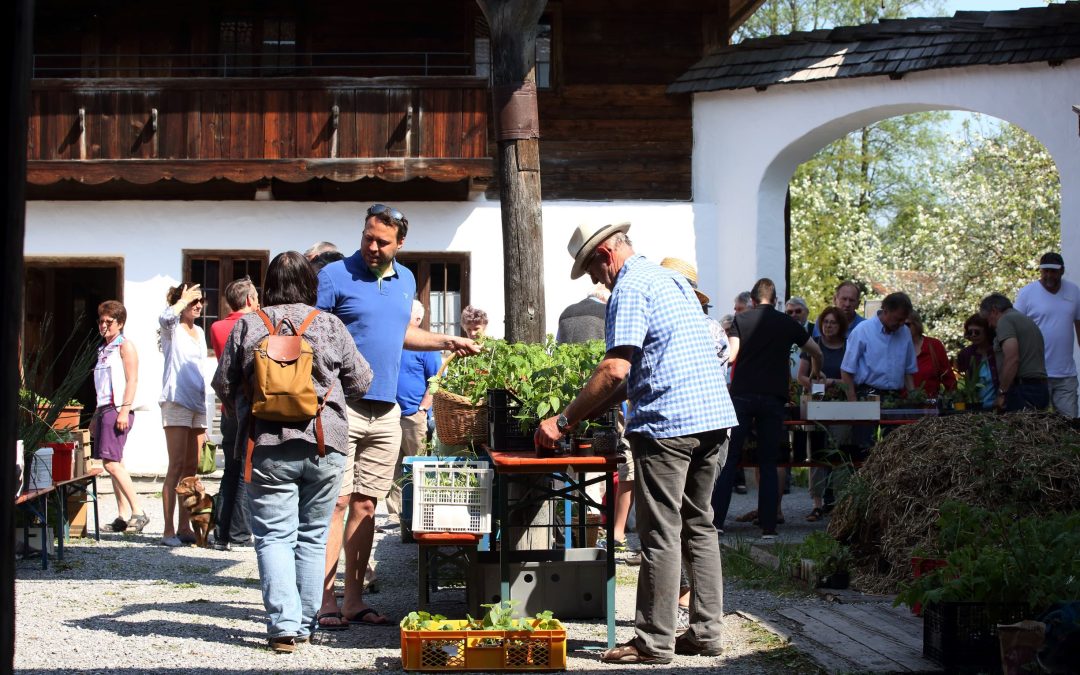 „Querbeet“ im Freilichtmuseum Amerang: Pflanzentauschbörse und Weidenflechtkurs zum Saisonstart
