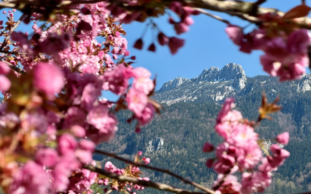 Frühling im Priental: Wenn die letzten Schneeflecken verschwinden