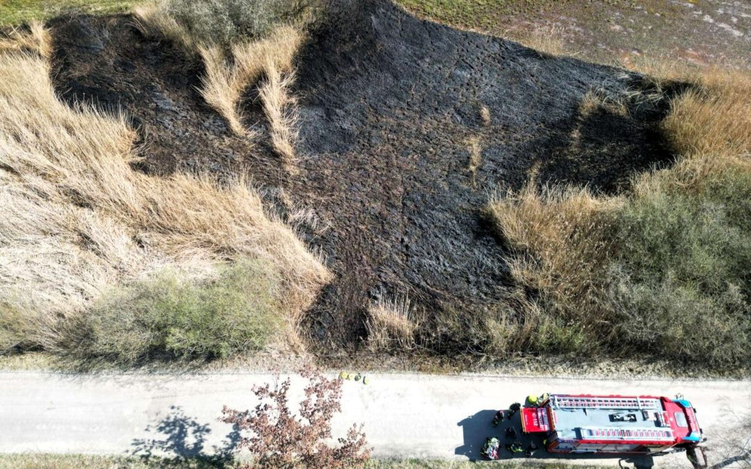 Rund 250 Quadratmeter Schilf in Flammen – Feuerwehren verhindern Ausbreitung