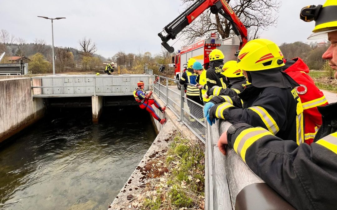 Biber-Kadaver aus Mühlbach geborgen – Feuerwehr und DLRG im Einsatz