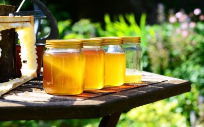Bienenschutz in Rosenheim: Honiggläser richtig entsorgen