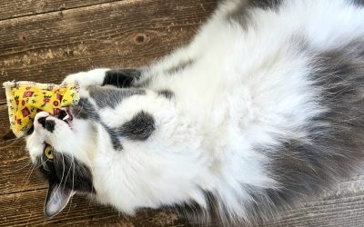 MorgenINNPULS – Schon gewusst?