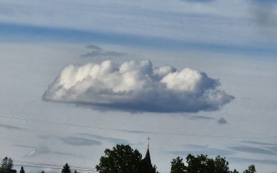 MorgenINNPULS – Schon gewusst?