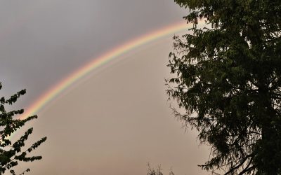 MorgenINNPULS – Schon gewusst?