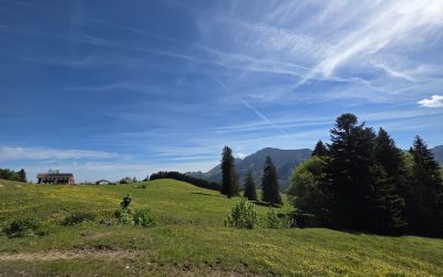 MorgenINNPULS – Schon gewusst?