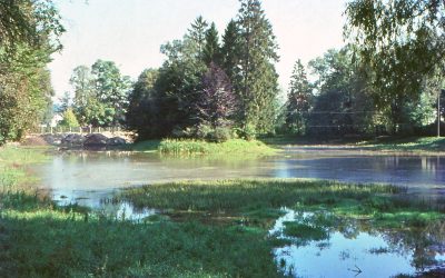 Vom Naturidyll zum Problemfall: Stadtsee, Rosenheim, 1962