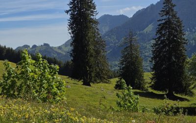 Pfingstwetter sorgt für Andrang an Seen und Biergärten – ruhigere Verhältnisse in den Bergen