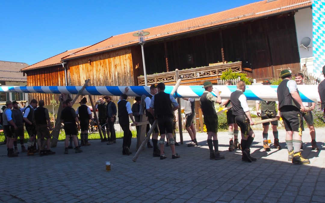 Maibaumfest in Törwang am Samerberg: Traditionsreiches Aufstellen bei Bilderbuchwetter gefeiert