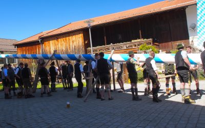 Maibaumfest in Törwang am Samerberg: Traditionsreiches Aufstellen bei Bilderbuchwetter gefeiert