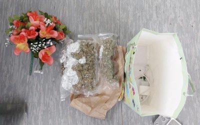 Cannabis im Blumenstrauß – Bundespolizei stoppt Bus an der Grenze