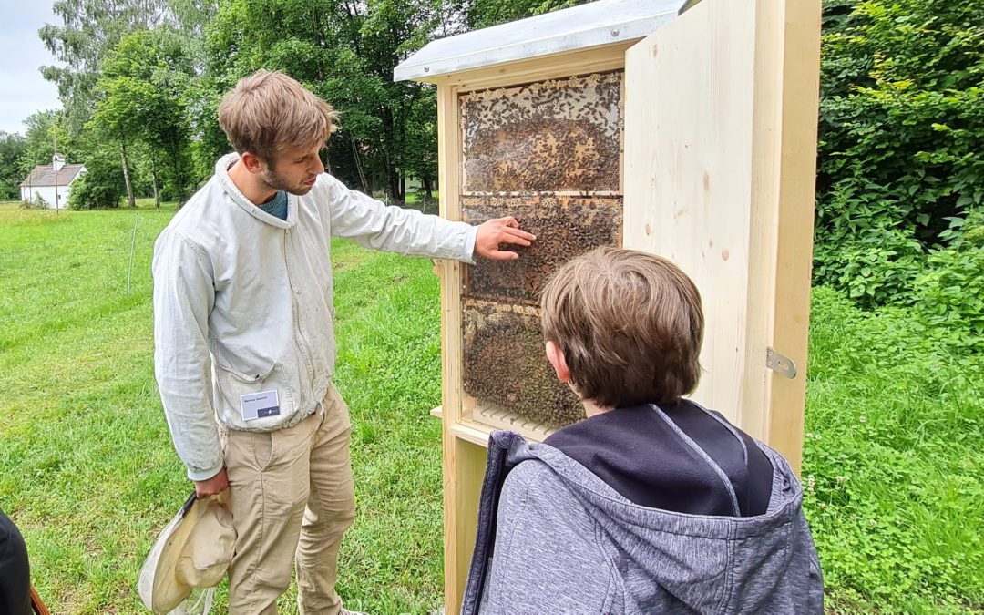 Bienentag im Freilichtmuseum Amerang: Honig, Imkerei und Mitmachaktionen für die ganze Familie