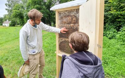 Bienentag im Freilichtmuseum Amerang: Honig, Imkerei und Mitmachaktionen für die ganze Familie