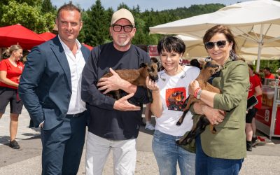 Gut Aiderbichl feiert 25 Jahre Tierschutz: Neues Hundehaus in Henndorf geplant