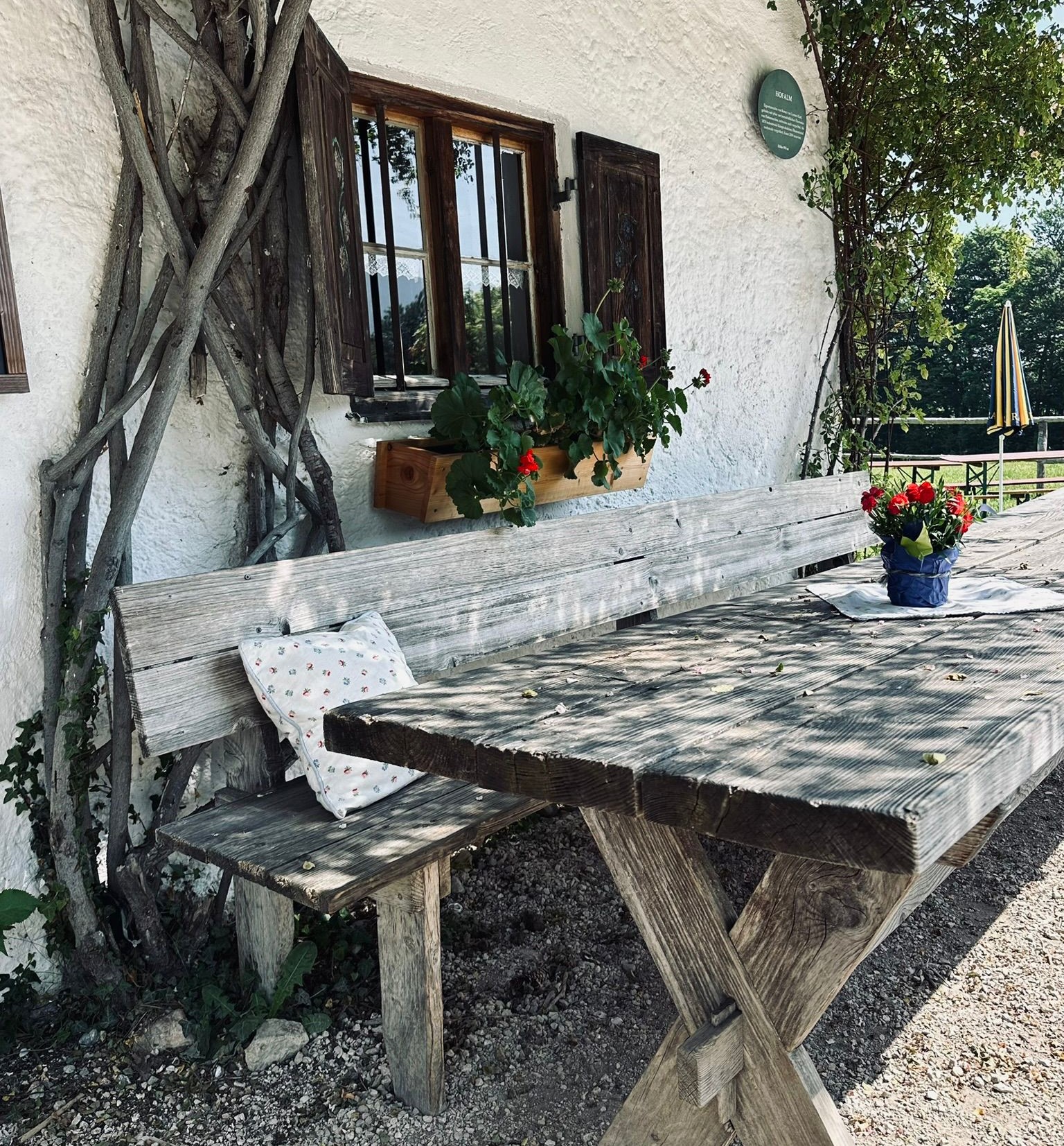Hofalm3 Gemütliche Sitzbank bei der Hofalm in Aschau im Chiemgau. Foto: re