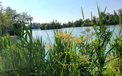 MorgenINNPULS – Schon gewusst?