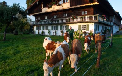 „Da Kuah auf da Spur“: Touren verbinden Bio-Landwirtschaft im Mangfalltal mit Münchner Trinkwasser