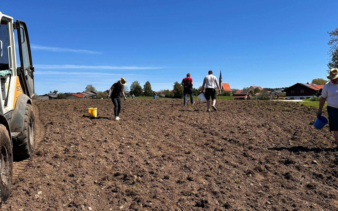 Neuer Festplatz in Kammer fertiggestellt: Dorfvereine schaffen Heimat für große Feste