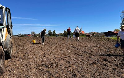 Neuer Festplatz in Kammer fertiggestellt: Dorfvereine schaffen Heimat für große Feste