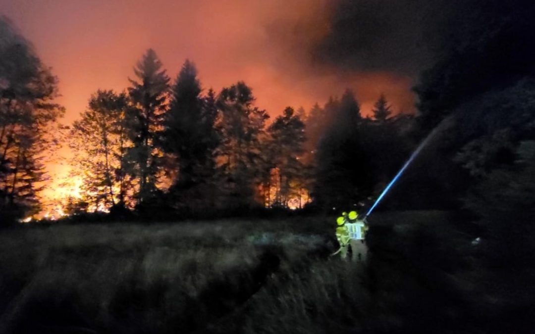 Waldbrand bei Übersee: Rund 200 Einsatzkräfte im Einsatz