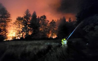 Waldbrand bei Übersee: Rund 200 Einsatzkräfte im Einsatz