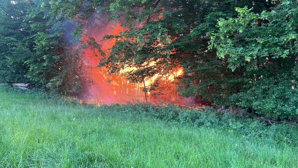 Brand in Waldgebiet in Rohrdorf Juni 2026. Foto: Polizeipräsidium Oberbayern Süd