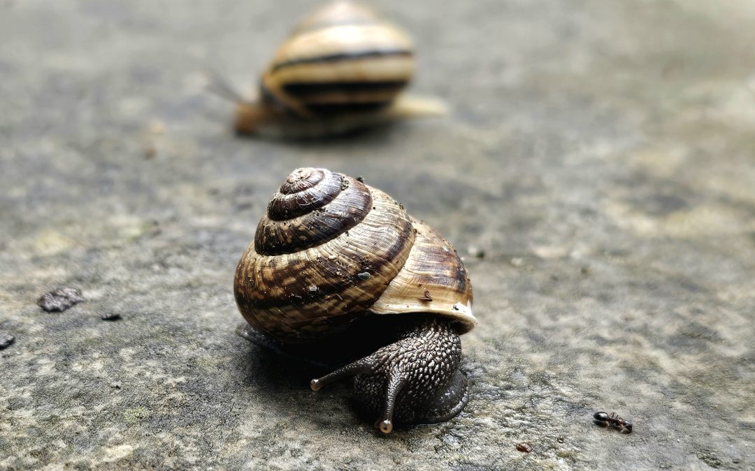 MorgenINNPULS – Schon gewusst?