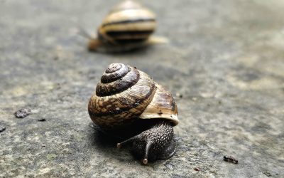 MorgenINNPULS – Schon gewusst?