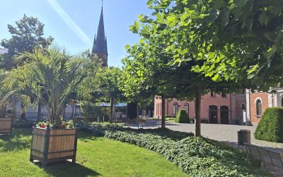 Bis 35 Grad in der Region Rosenheim: Die Hundstage machen ihrem Namen alle Ehre