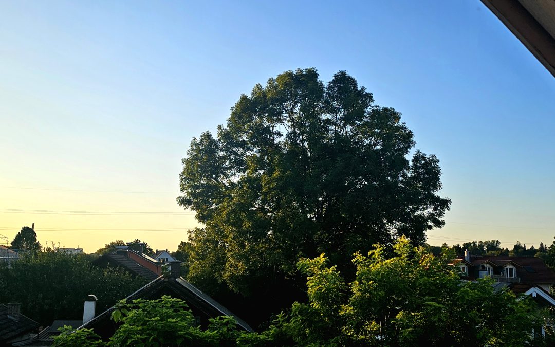 MorgenINNPULS – Schon gewusst?