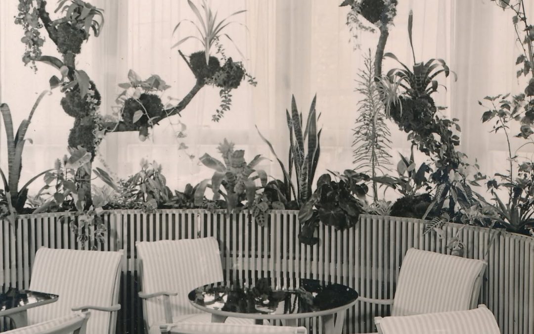 Cafè Schick, Gillitzerstraße, Rosenheim, ca. 1960