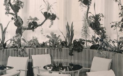 Cafè Schick, Gillitzerstraße, Rosenheim, ca. 1960