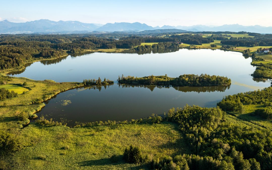 Der Libelle auf der Spur: Geführte Wanderung durch die Eggstätt-Hemhofer Seenplatte