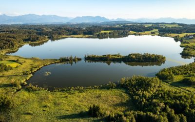 Der Libelle auf der Spur: Geführte Wanderung durch die Eggstätt-Hemhofer Seenplatte