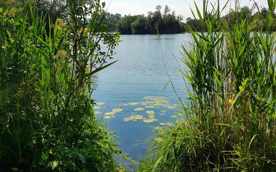 MorgenINNPULS – Schon gewusst?