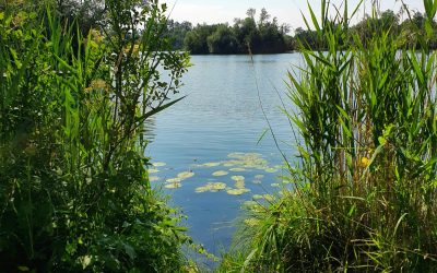 MorgenINNPULS – Schon gewusst?