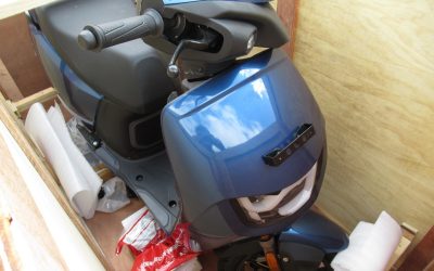 E-Roller aus Indien darf nicht eingeführt werden