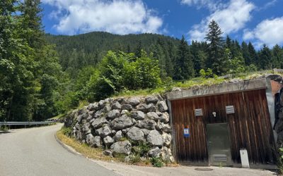 Schutzwald am Wildbarren: Experten informieren über Zustand und Sanierung