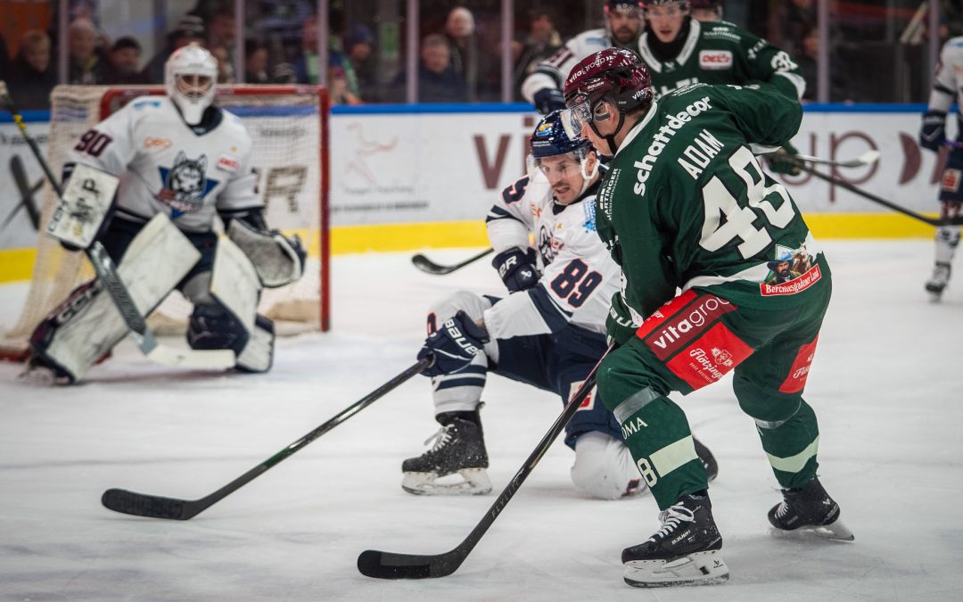 Starbulls Rosenheim gegen Kassel: Wichtige Infos zum Vorbereitungsspiel