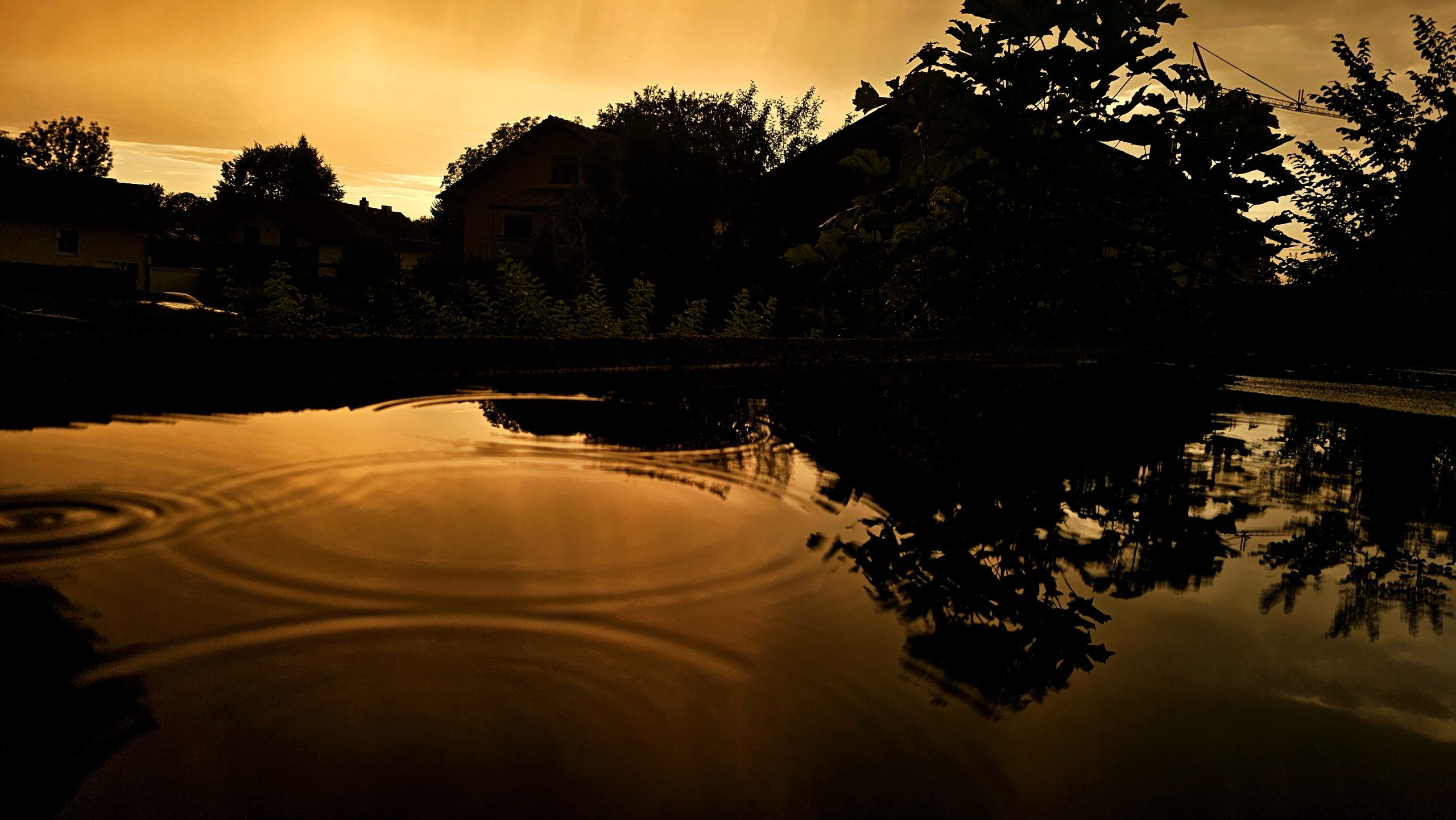 Sonnenuntergang Copyright Josefa Staudhammer Sonnenuntergang, der Himmel ist Gelb in einer Pfütze sieht man Regentropfen und der Himmel spiegelt sich darin. Copyright Josefa Staudhammer