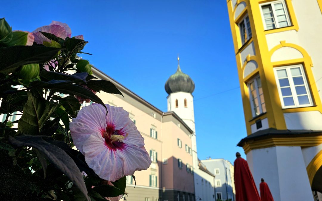 MorgenINNPULS – Schon gewusst?