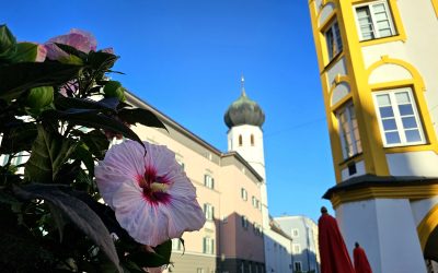 MorgenINNPULS – Schon gewusst?