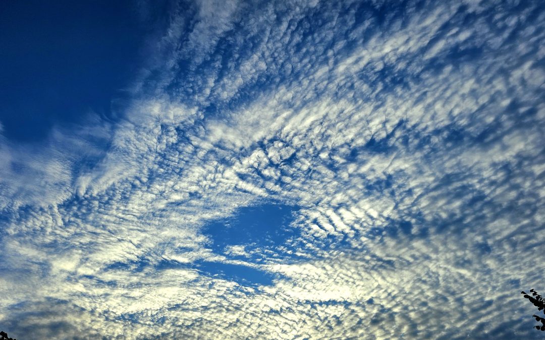 MorgenINNPULS – Schon gewusst?
