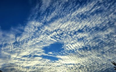 MorgenINNPULS – Schon gewusst?