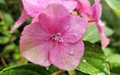 MorgenINNPULS – Schon gewusst?