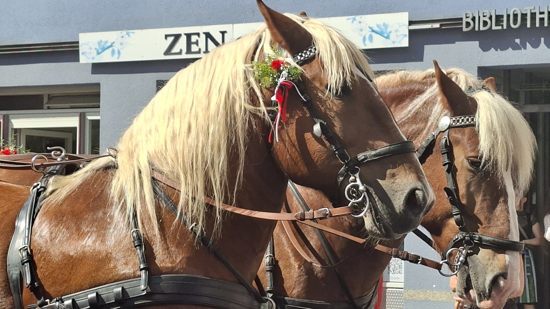 9bbb2f96-7ca3-43f8-a52b-c131506f7f78 Herbstfest Rosenheim Einzug 2026. Fotos: Innpuls.me