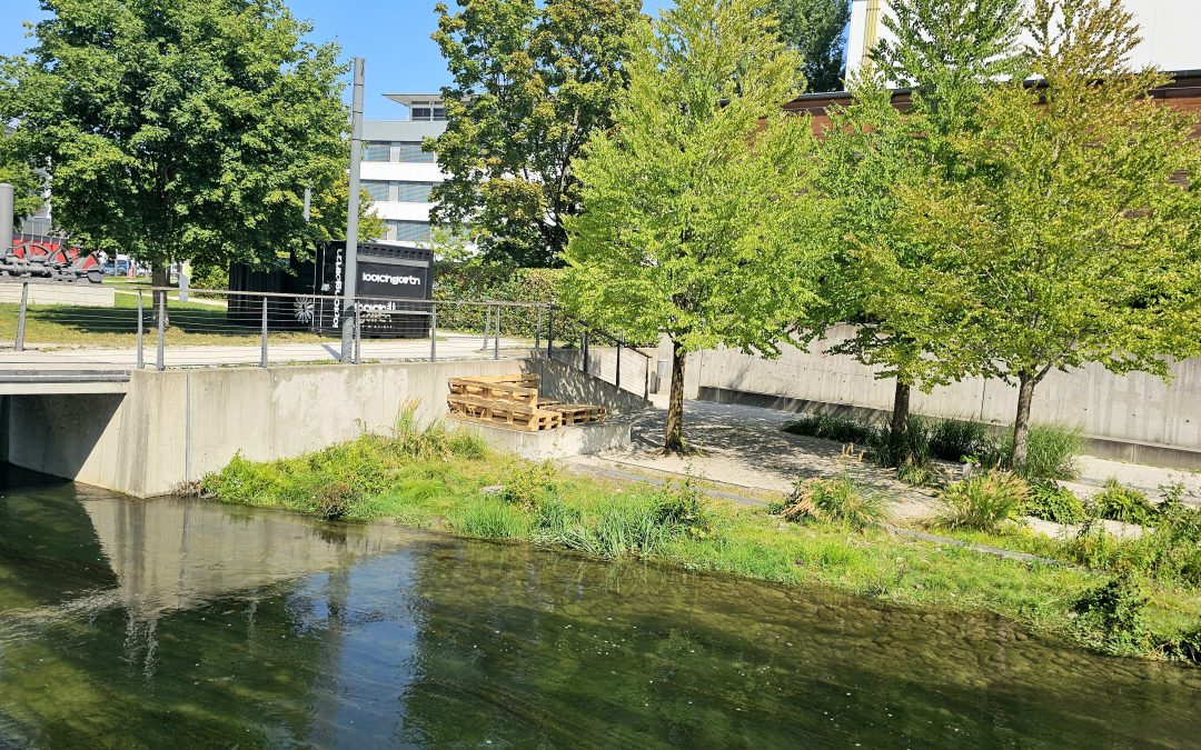 „Bachgartn“ am Mühlbachbogen: Neuer Pop-up-Kiosk startet Testlauf
