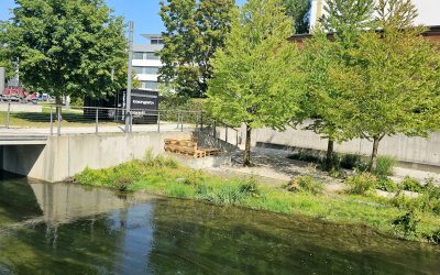 „Bachgartn“ am Mühlbachbogen: Neuer Pop-up-Kiosk startet Testlauf